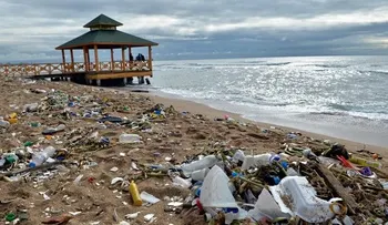 Güibia camino a convertirse en un vertedero