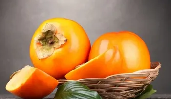 La fruta de los dioses: Cura el cáncer, enfermedades del corazón, diabetes y mucho más