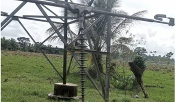 ETED restableció servicio en línea 138 kV Nagua-Sánchez-Samaná