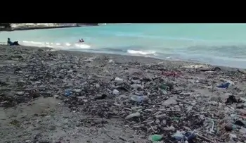 Danilo Medina nos tiene viviendo entre la mierda y la basura (VIDEO)