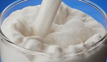 La leche es buena para el cerebro