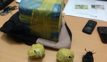 Cesfront detiene a 5 con más de tres libras de marihuana en Loma de Cabrera