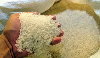 Protección al arroz dominicano: ¿competitividad o seguridad alimentaria?