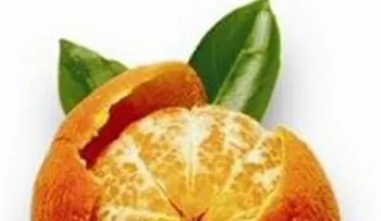 La cáscara de mandarina en contra del cáncer