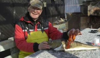 Un pescador noruego encuentra un vibrador en el estómago de un bacalao