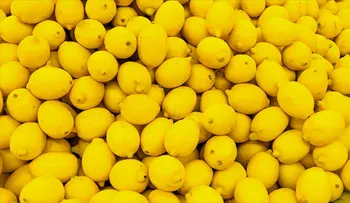 Trump enfurece a los agricultores de EE.UU. al levantar la prohibición de importar limones argentinos