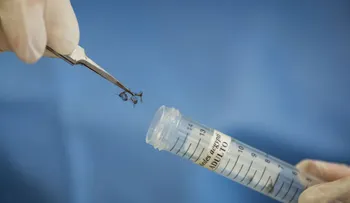 Cuba confirma tres nuevos casos importados del virus del Zika