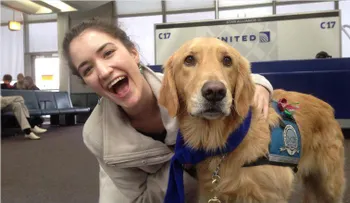 Aerolínea usa equipo de perros para calmar a viajeros nerviosos