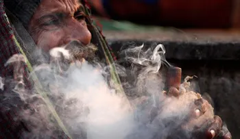 Un gen predice cómo reaccionará una persona al fumar marihuana