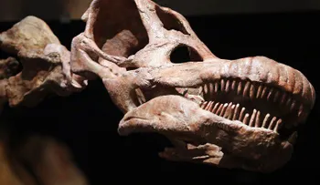 Hazte a un lado T. Rex: se da a conocer un nuevo dinosaurio