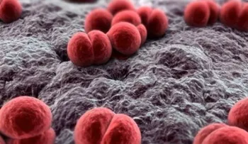 Hoy se celebra el Día Mundial de la Meningitis