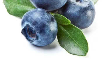 15 alimentos que puedes comer hasta la saciedad y no te hacen engordar