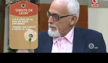 El doctor Conejo explica cómo usar el diente de león, moringa, hombre grande y otras plantas que disminuyen niveles de azúcar
