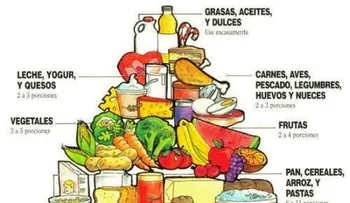 Guía de vitaminas y minerales