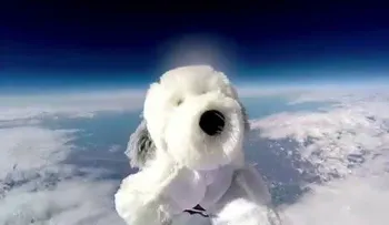 Se busca a Sam, el perro de peluche cosmonauta que alcanzó la estratosfera