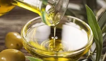 El aceite de oliva es vital para mantenerse joven