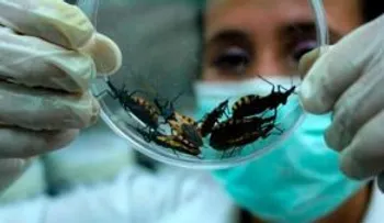 La enfermedad del Chagas llega a República Dominicana; alcances y síntomas