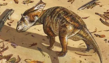El esqueleto intacto de un dinosaurio de 75 millones de años entusiasma a los científicos