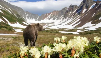 Los agujeros gigantes de Siberia esconden una amenaza planetaria