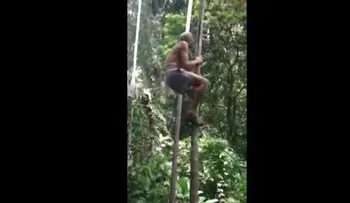 Video: Un anciano se trepa a un árbol de forma increíble