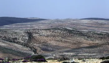 Al menos 6 muertos en el Líbano por una explosión cerca a la frontera con Siria