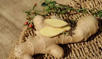 Logra un vientre plano con té de jenjigre