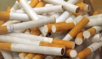 Aduanas y la DGII destruyen más de 550 mil unidades de cigarrillos contrabandeados