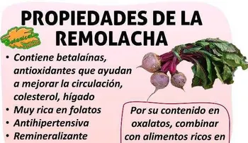 Con este vegetal en tu dieta desaparece la grasa del hígado, combate el estreñimiento y controla la hipertensión
