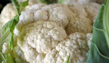 Estos son alimentos Mata Pasiones, que debes evitar en el Día del Amor