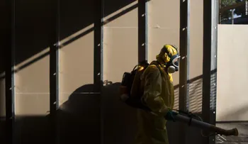 Países de la región intensifican lucha contra el zika mientras aumentan casos