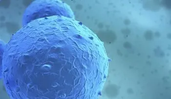Regeneran tejido de la médula con células madre