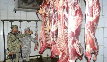 Cierran tres mataderos por funcionar sin permisos y con poca higiene 