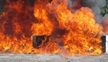 La Procuraduría incinera 216 kilogramos de drogas 