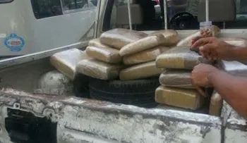 DNCD y el Ejército decomisan 237 libras de material presumen es marihuana