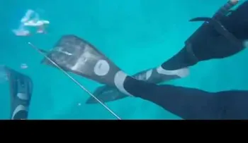 Un pescador grabó el aterrador momento cuando fue mordido por un tiburón 