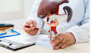 Hígado graso: una epidemia silenciosa ligada al estilo de vida moderno