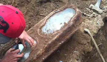 Fin del misterio: quién era y cómo murió "Miranda", la niña hallada intacta en un ataúd de 1870 repleto de rosas