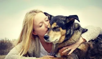7 enfermedades compartida por animales y los humanos 
