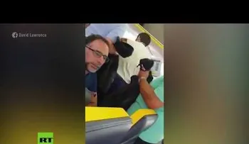 El indignante insulto de un hombre a una mujer negra en un vuelo: Fea, bastarda