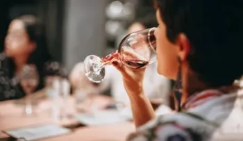 Solo mira la etiqueta del VINO y adivinará si vale la pena