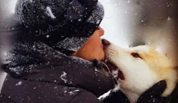 Matan de un tiro a perro de Salma Hayek en Washington