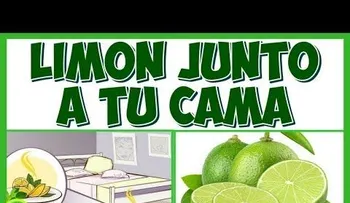 Los limones son geniales para bajar la presión arterial: colócalo al lado de la cama y esto es lo que pasa