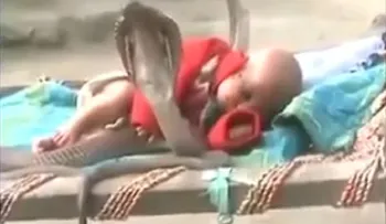 Cobras protegiendo a un niño hindú mientras duerme