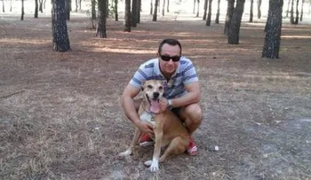 Sacrifican al perro de enfermera infectada con ébola.