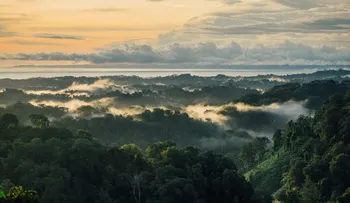 Vacaciones verdes: 10 lugares sostenibles que no dañan a la Tierra