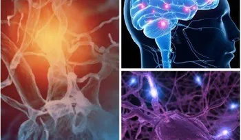 Causas hormonales que afectan a la libido en los hombres