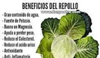 Descubriendo los beneficios del repollo: un aliado contra el estreñimiento y múltiples enfermedades