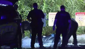Encuentran a caimanes comiendo restos humanos en Florida