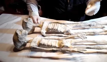 Asombrosa revelación de las cinco momias "extraterrestres" halladas en Perú