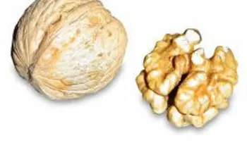Alimentos verdes saludables